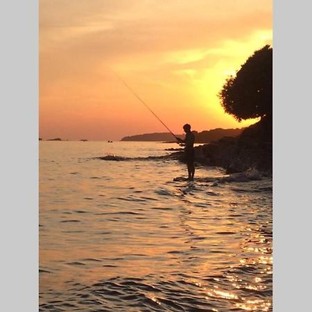 Viva 1 Rovinj Lägenhet Exteriör bild