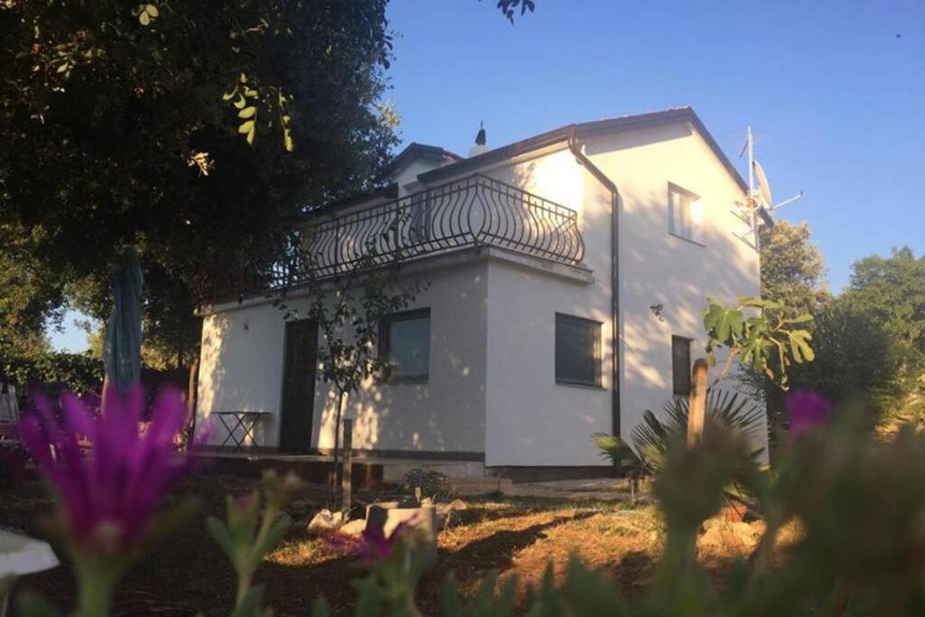 Viva 1 Rovinj Lägenhet Exteriör bild