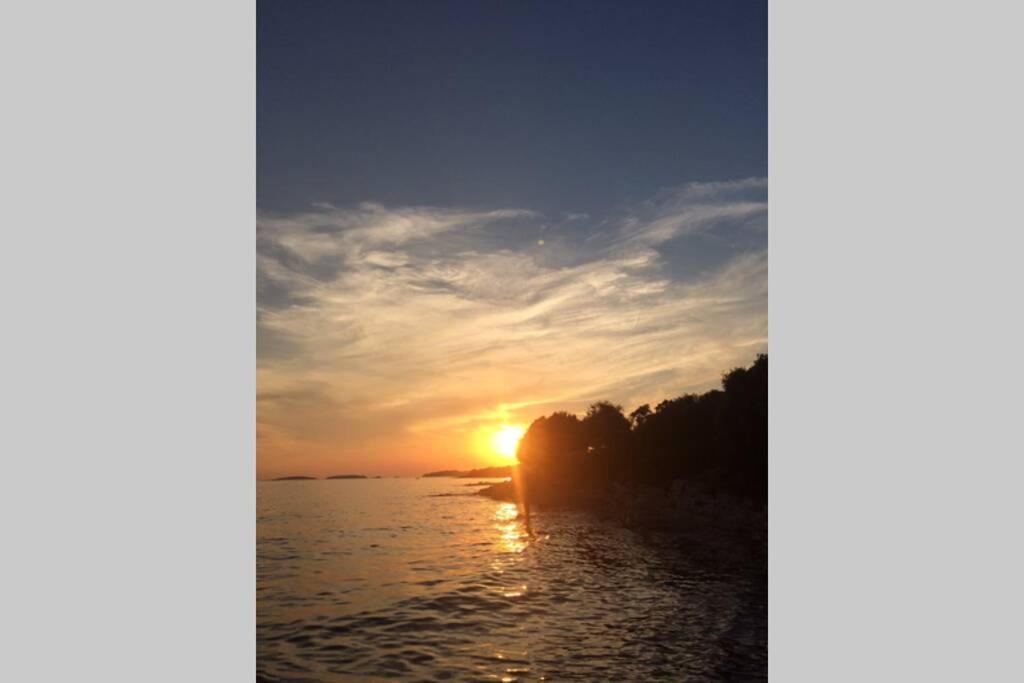 Viva 1 Rovinj Lägenhet Exteriör bild